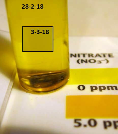 Nitrate 28 & 3.jpg