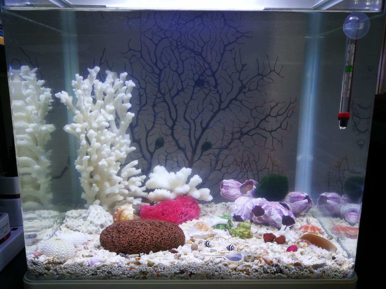 WhatsApp Image 2018-03-20 at 10.45.39.jpeg