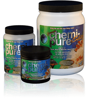 Chemi-Pure-elite-3-sizes1.png