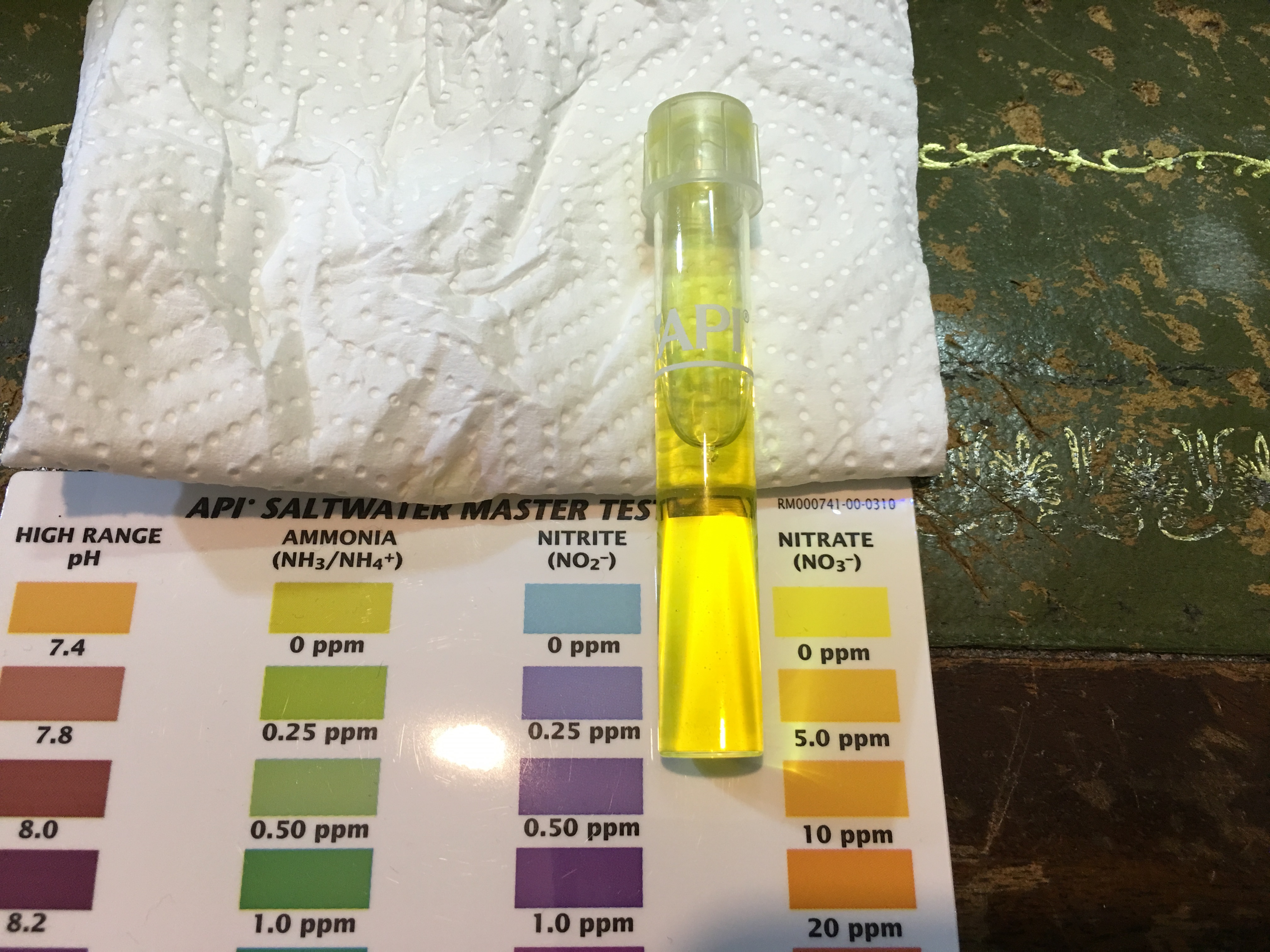 Photo 07-04-2016, 17 53 17.jpg