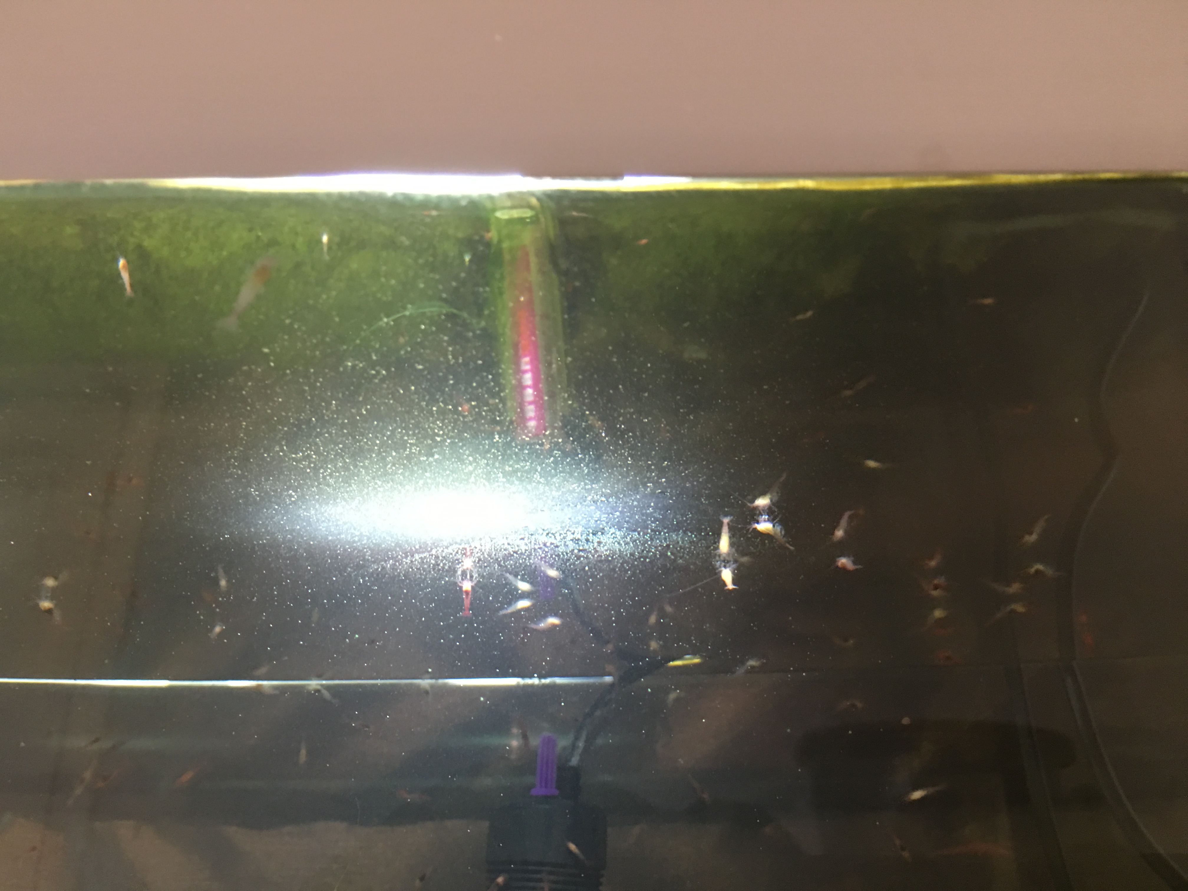 Photo 07-04-2016, 17 53 52.jpg