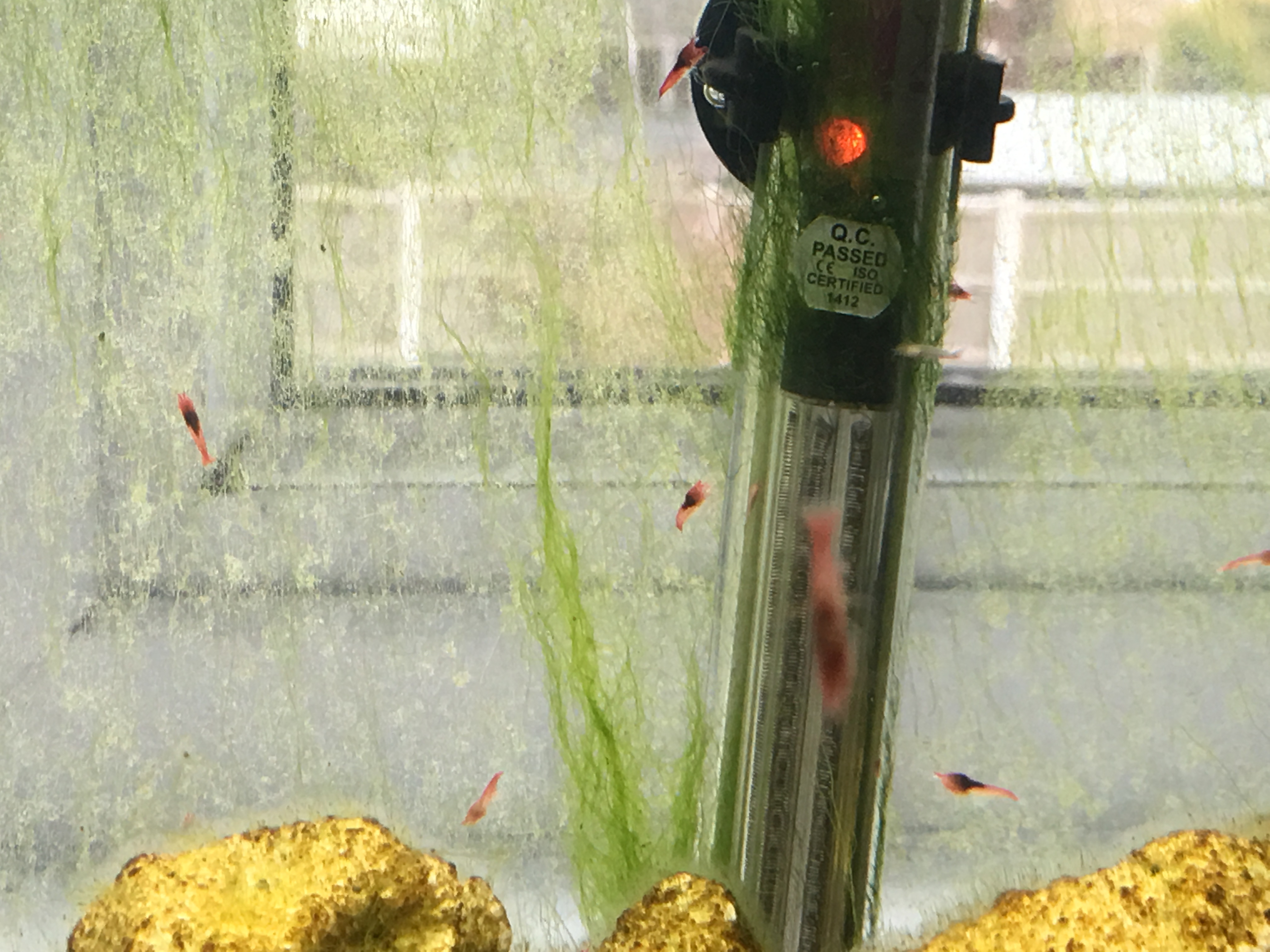 Photo 11-04-2016, 18 03 19.jpg