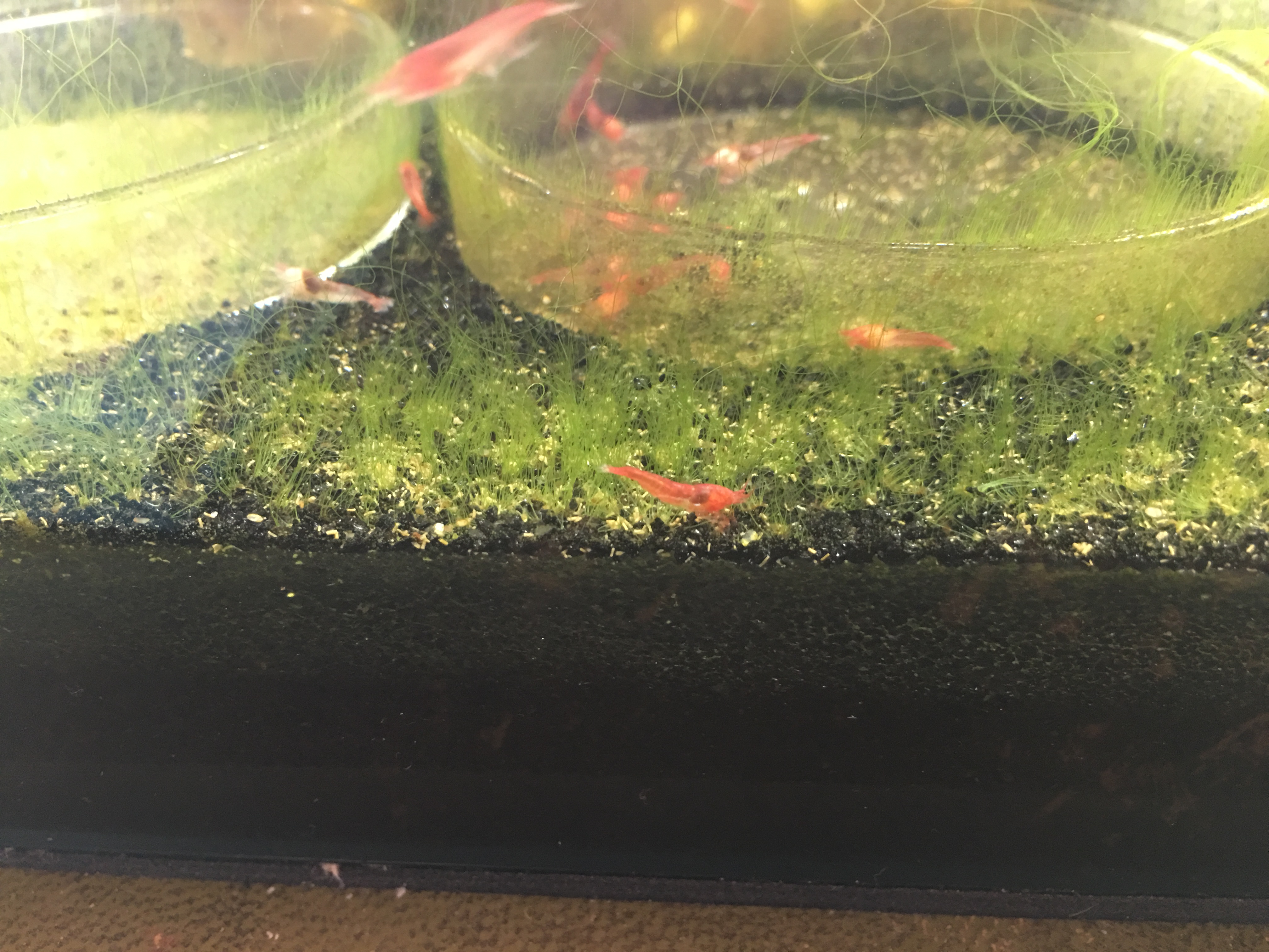 Photo 11-04-2016, 18 03 44.jpg