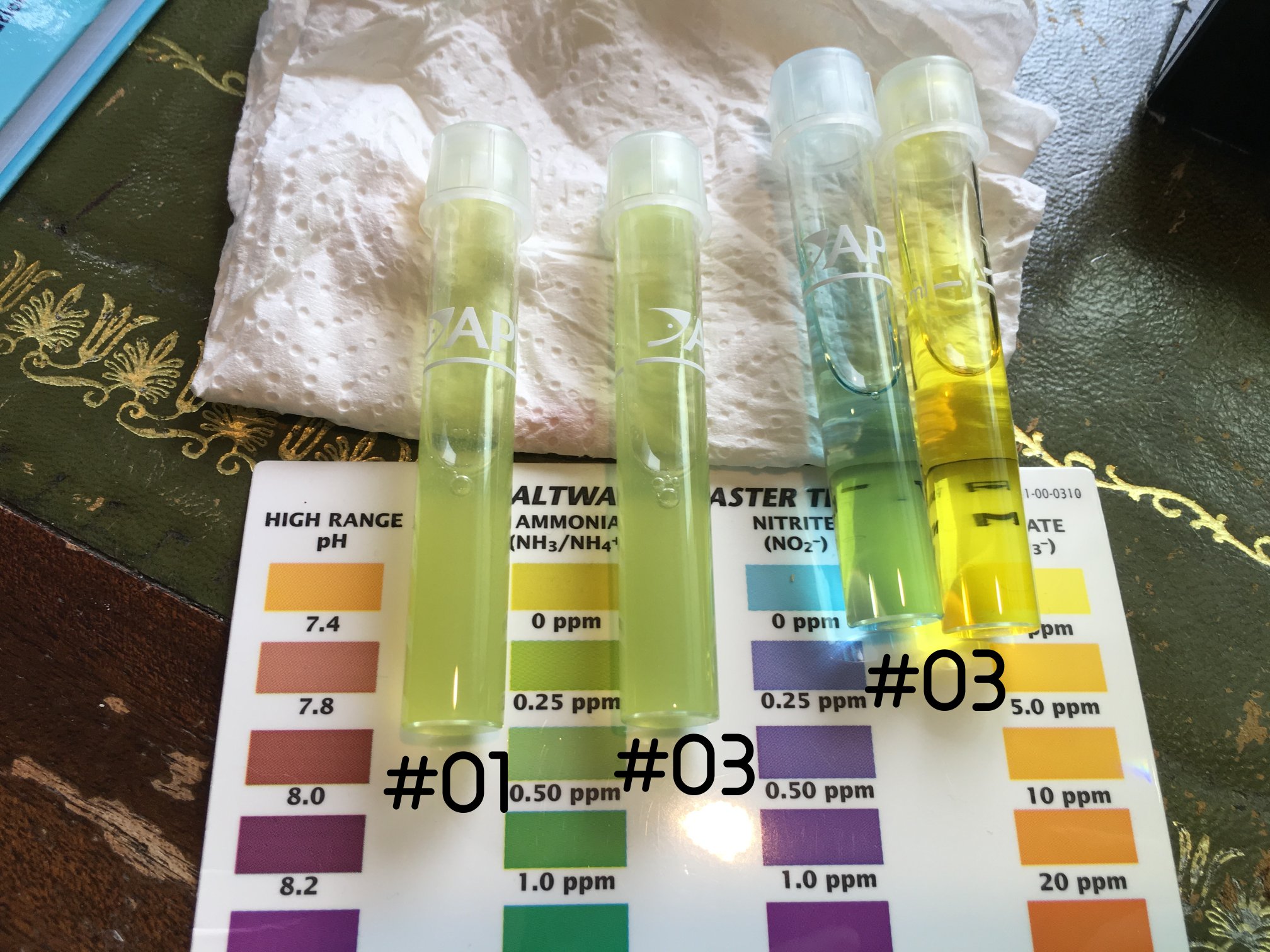 Photo 12-04-2016, 17 48 47.jpg