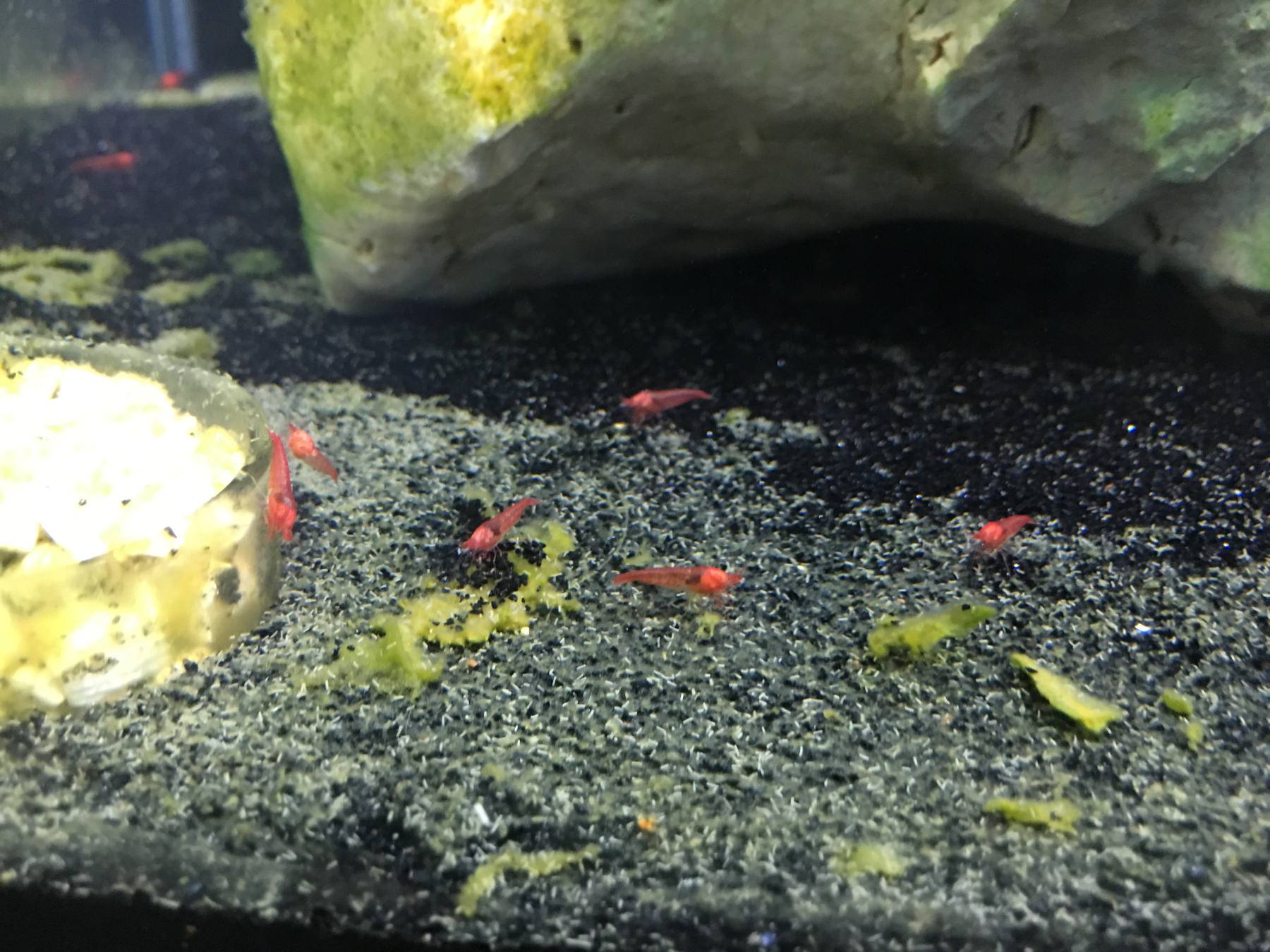 Photo 20-04-2016, 17 52 38.jpg