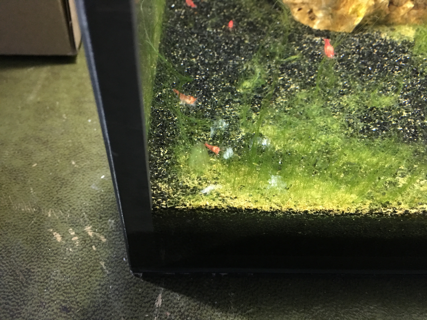 Photo 23-04-2016, 12 53 40.jpg