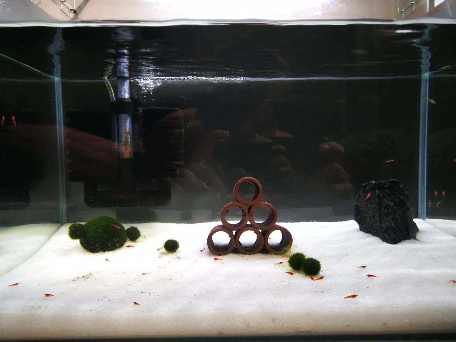 WhatsApp Image 2018-09-16 at 13.37.19.jpeg