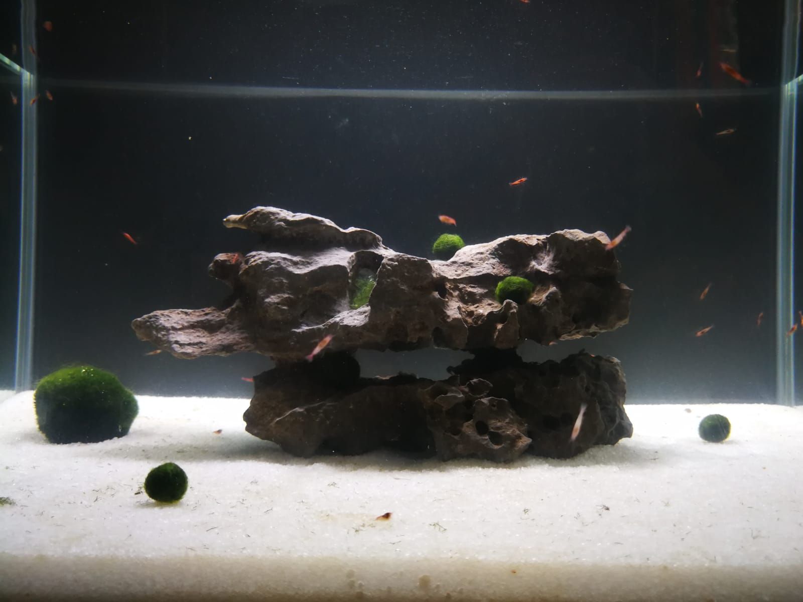 WhatsApp Image 2018-09-26 at 14.40.18.jpeg