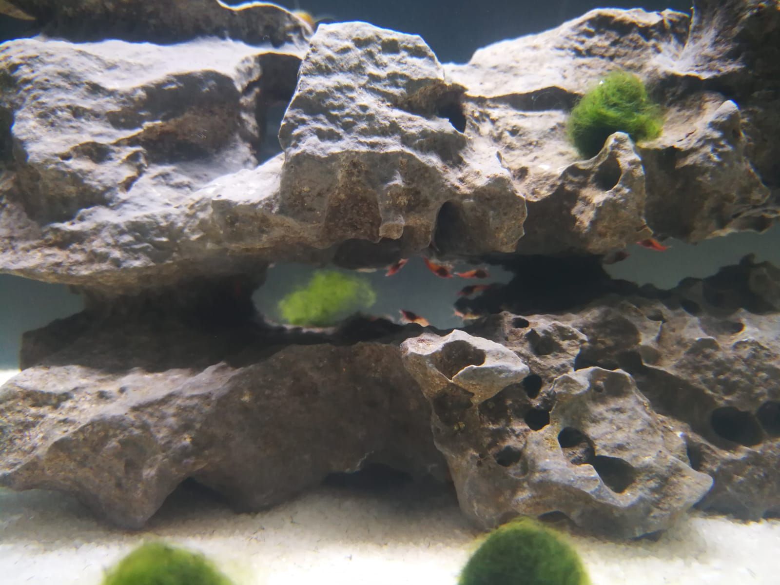 WhatsApp Image 2018-09-28 at 15.17.52.jpeg