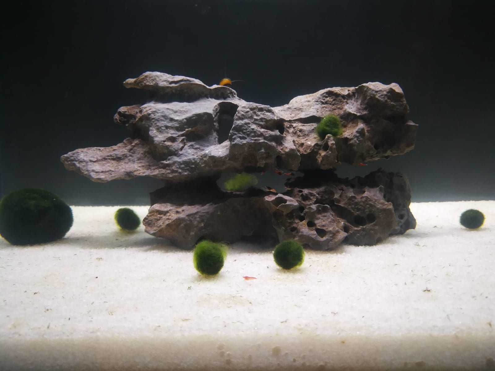 WhatsApp Image 2018-09-28 at 15.17.52 (1).jpeg