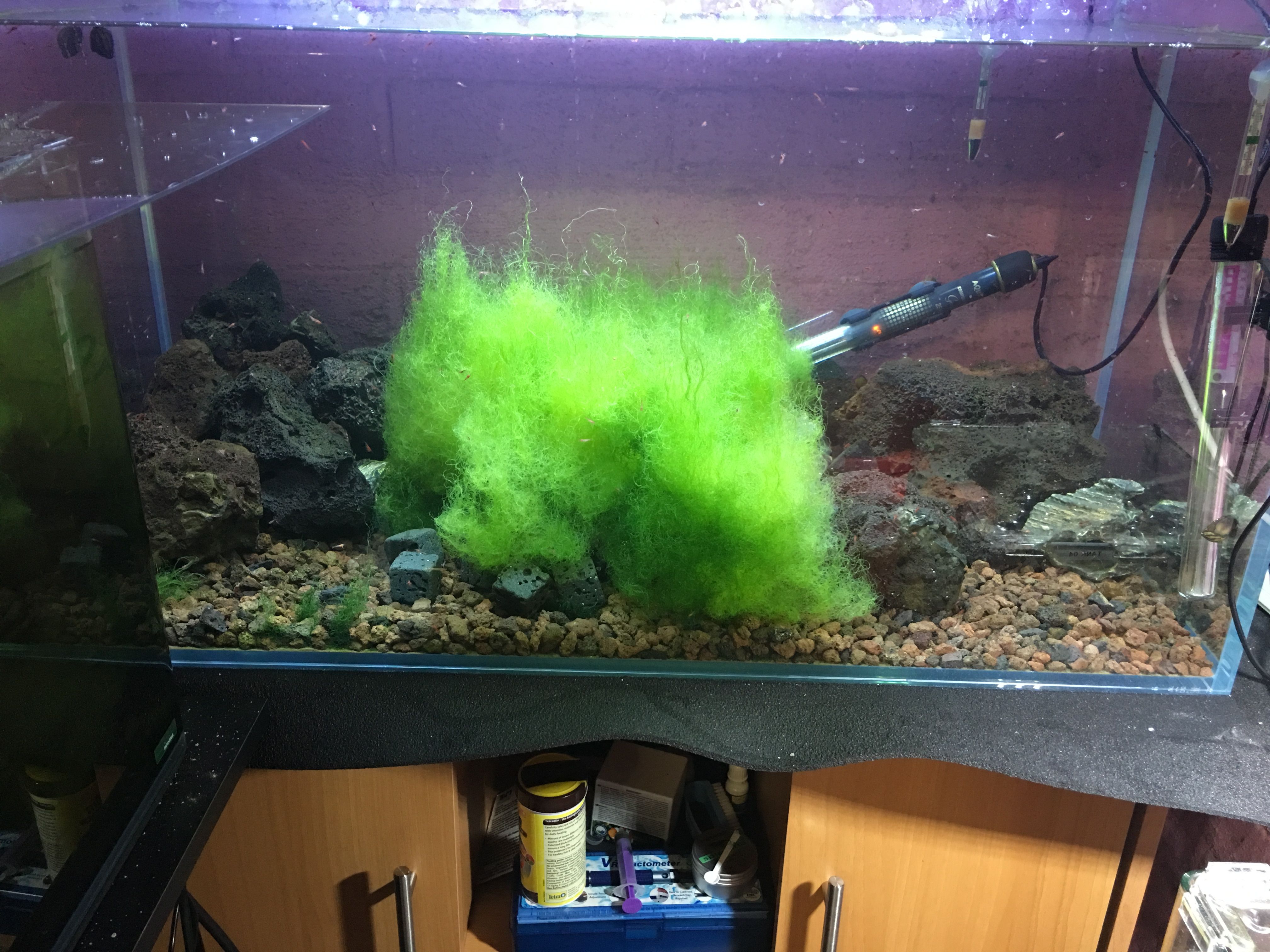 Photo 16-11-2018, 20 41 06.jpg