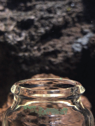 Motion-Still-2018-12-14 3.GIF