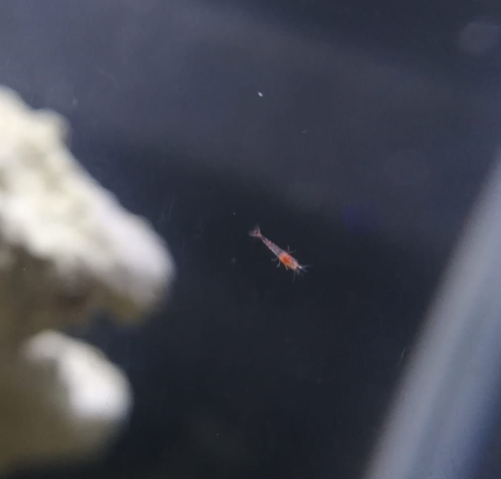 WhatsApp Image 2019-02-11 at 22.43.18.jpeg