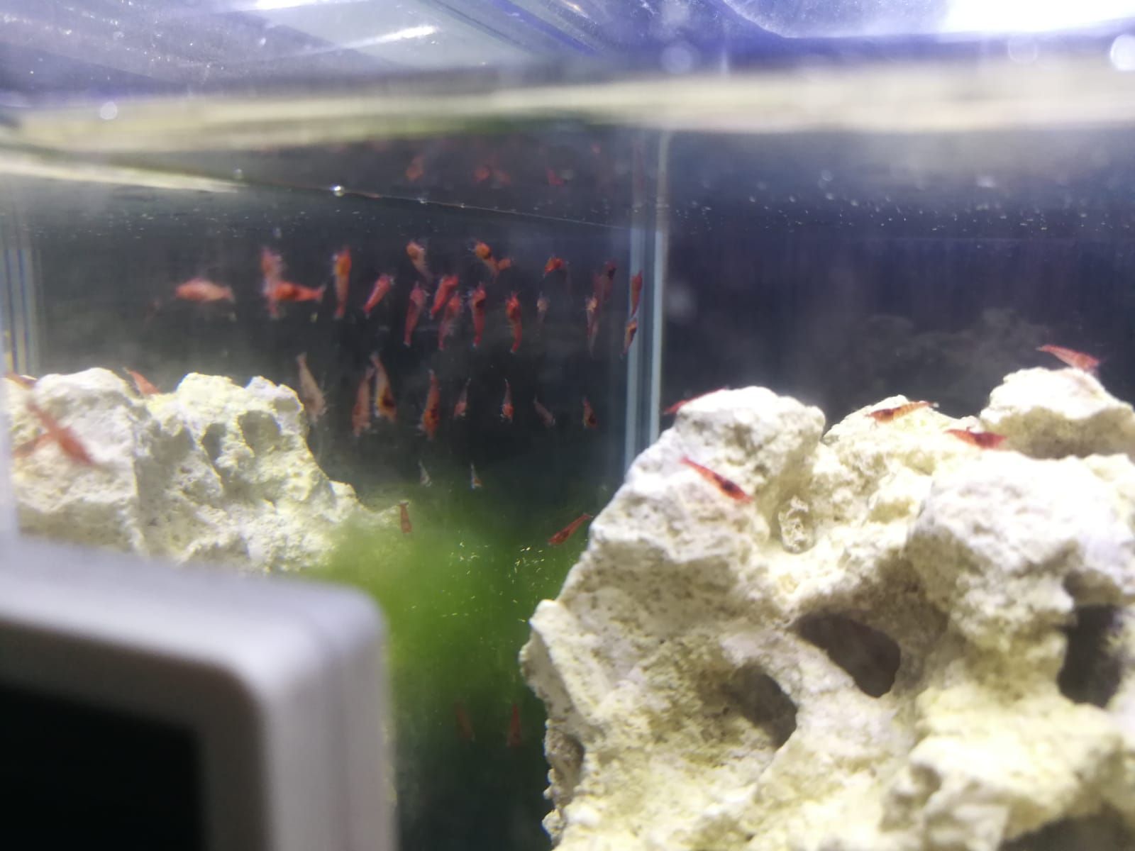 WhatsApp Image 2019-07-12 at 01.48.40.jpeg