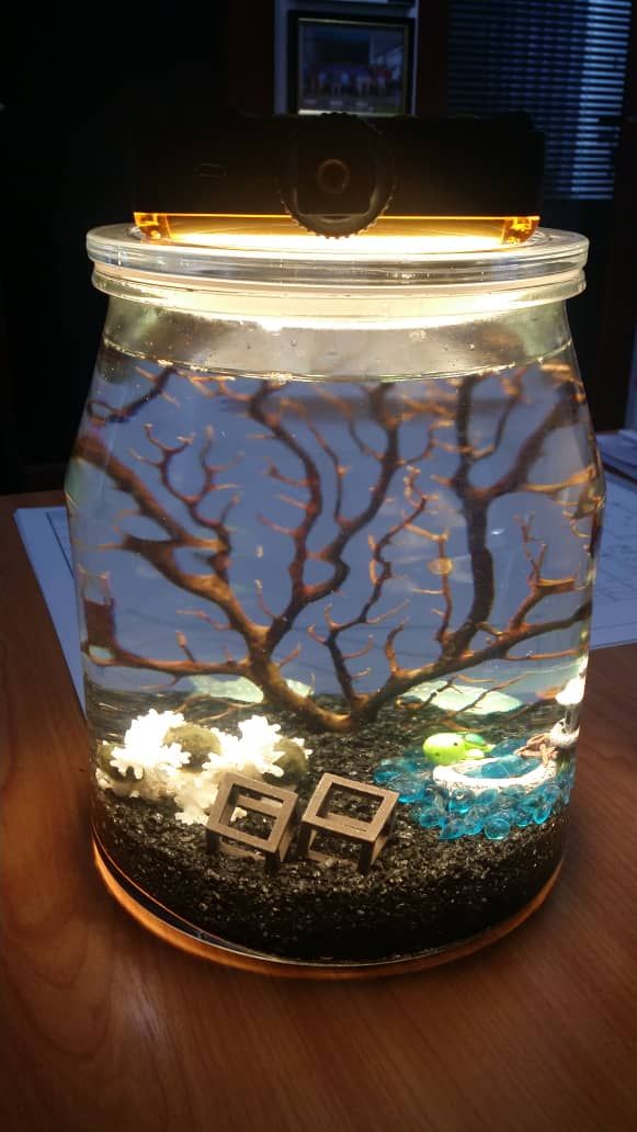 WhatsApp Image 2019-07-17 at 12.50.24 PM.jpeg