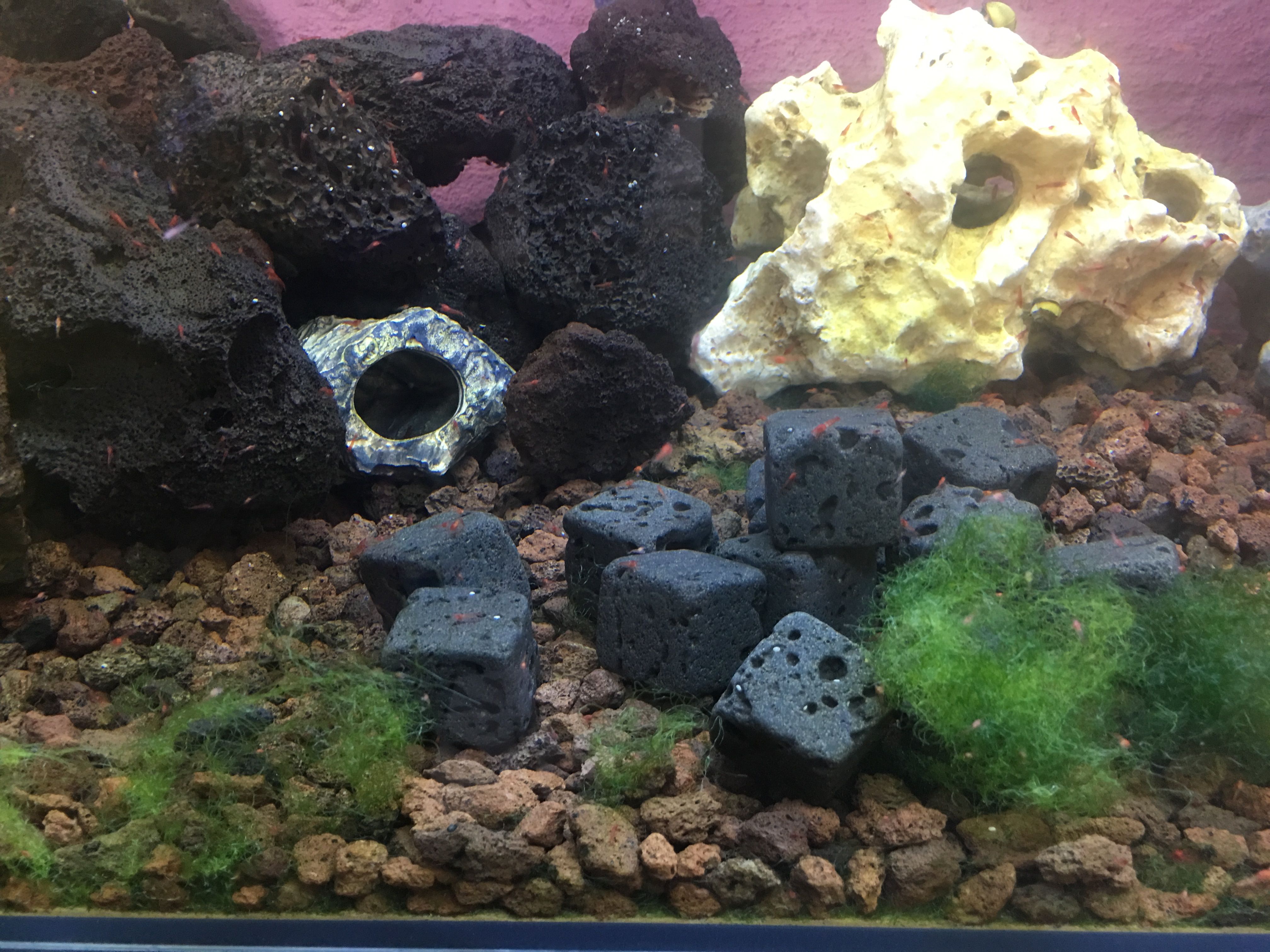 Photo 12-08-2019, 19 20 23_cleaned.jpg