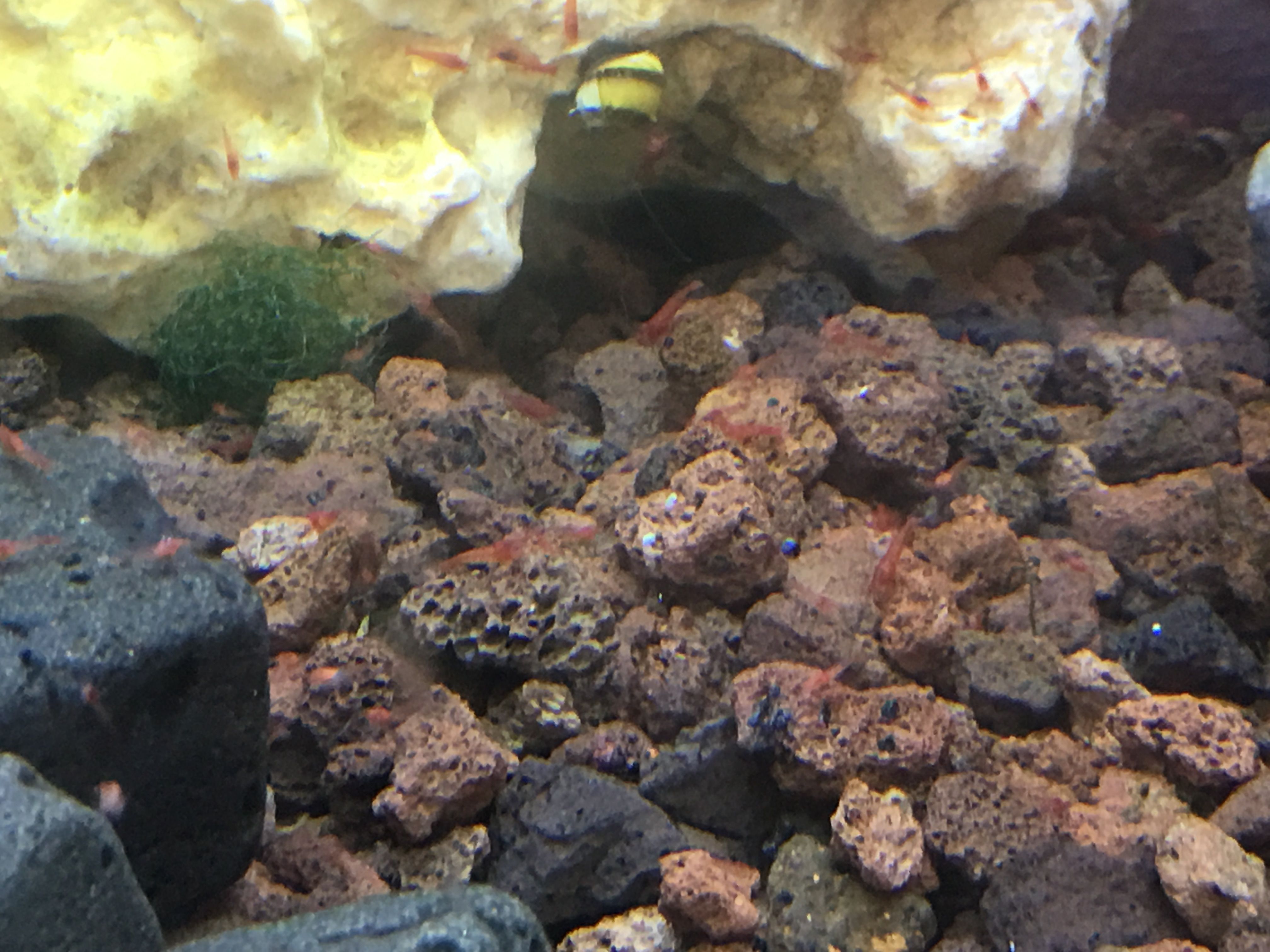 Photo 12-08-2019, 19 20 49_cleaned.jpg