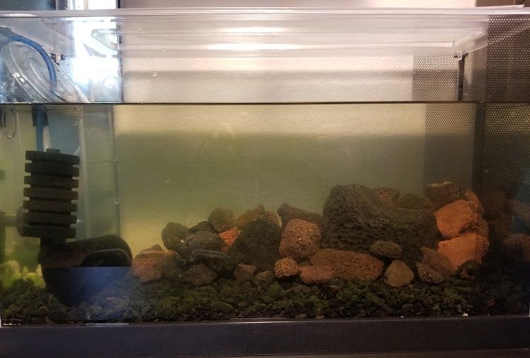 tank2_20190818_thumb.jpg