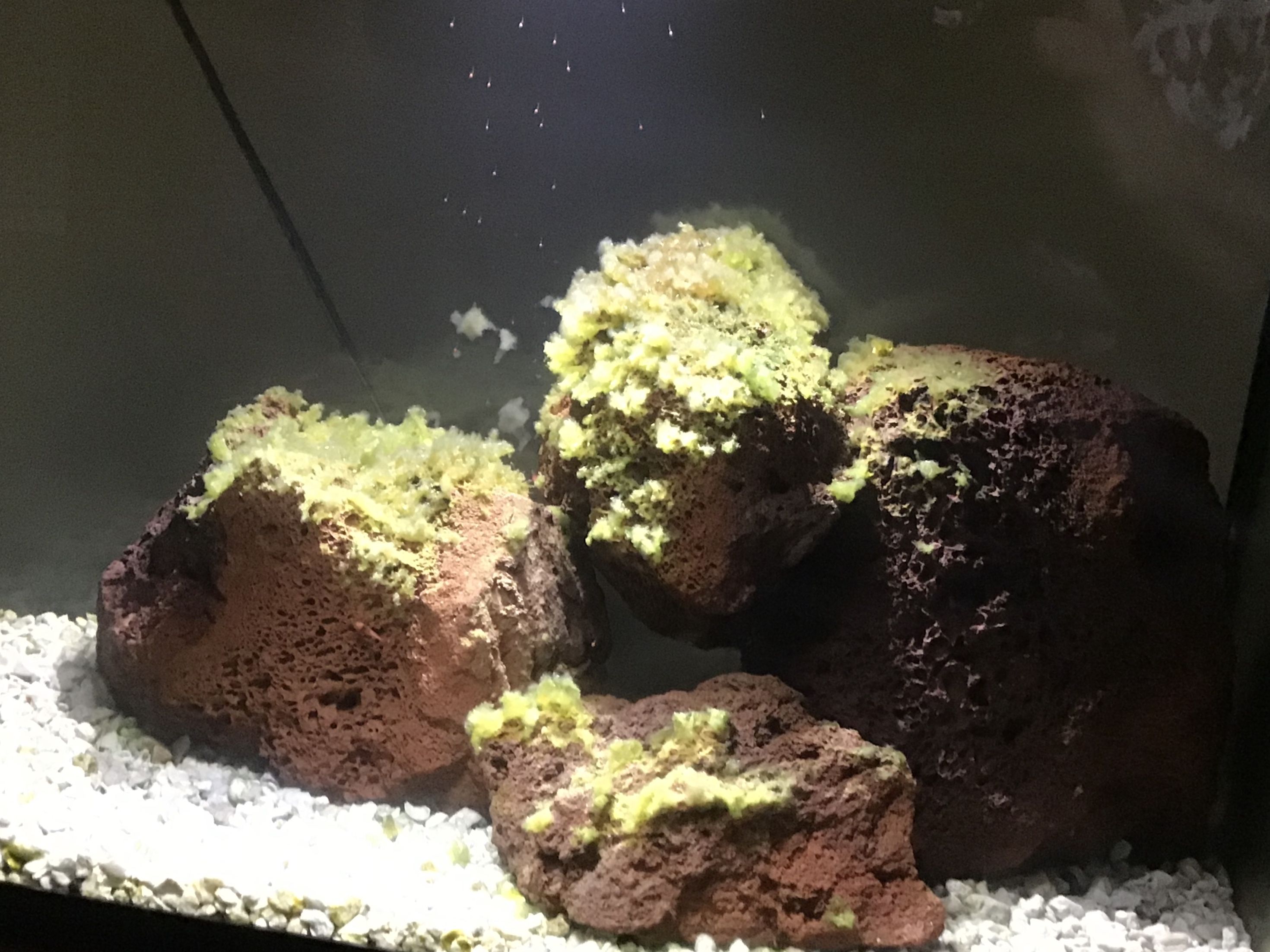 Some of the October floaters