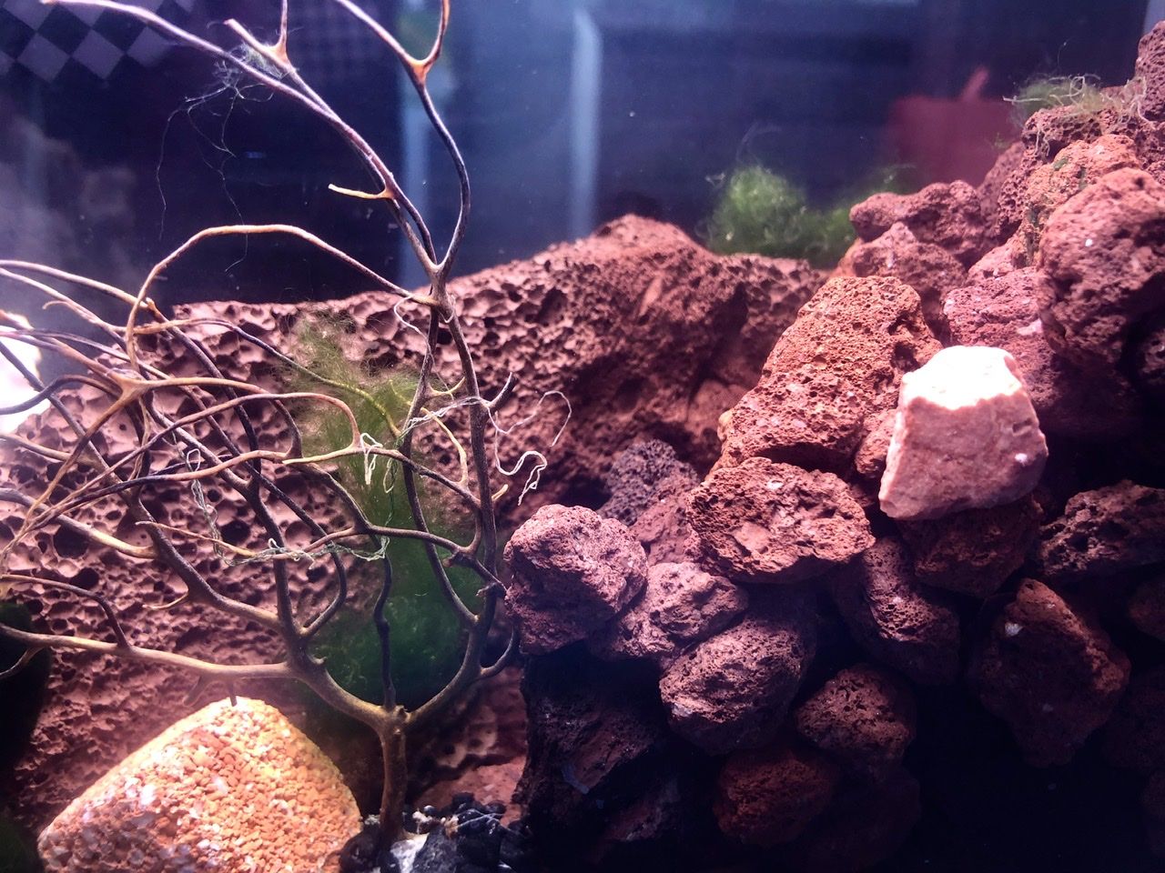 Side facing the window