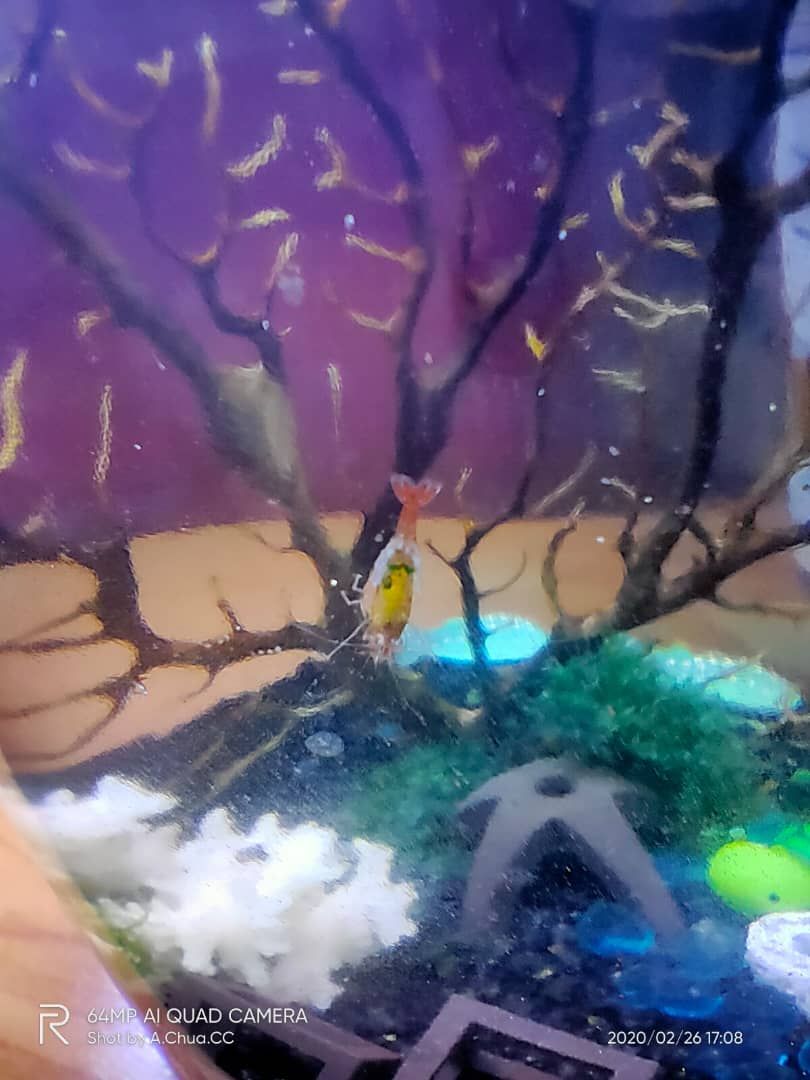 WhatsApp Image 2020-02-26 at 5.09.25 PM.jpeg