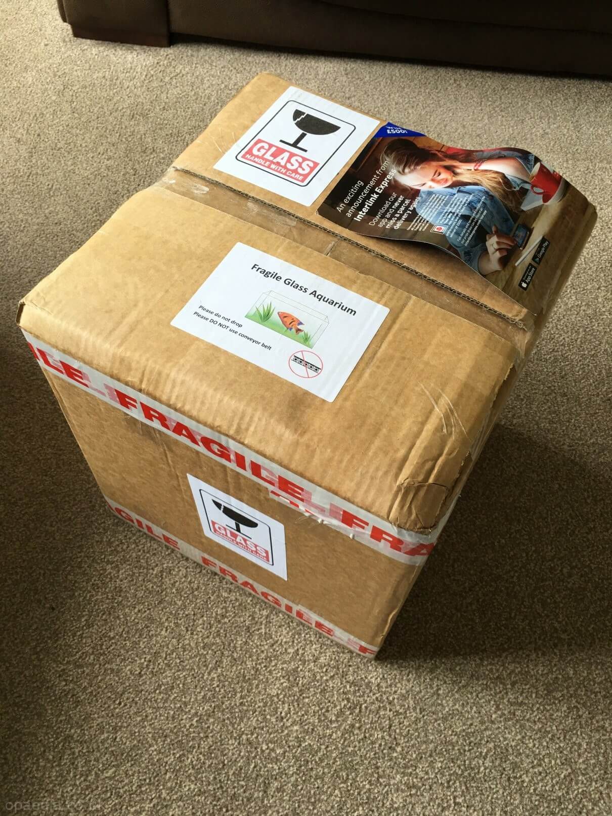 Here comes the tank! Dennerle 20L nano cube.