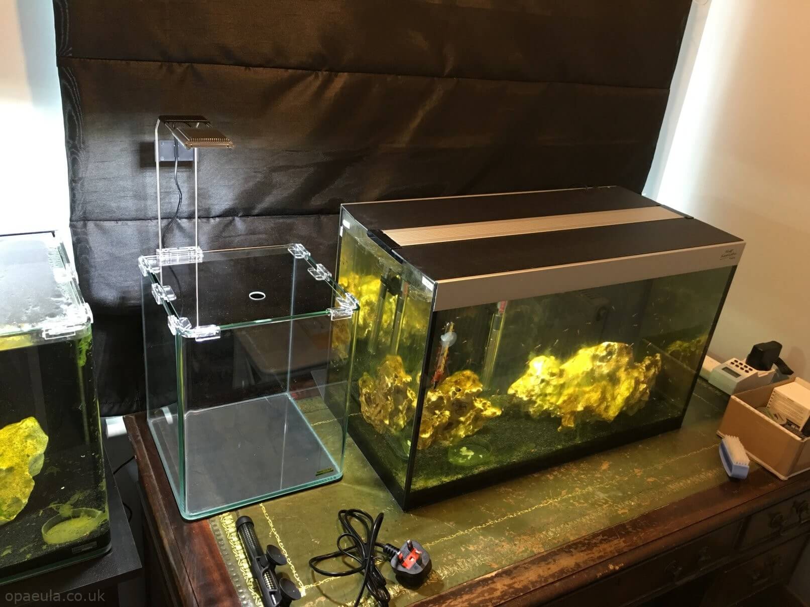 Picking a location #01