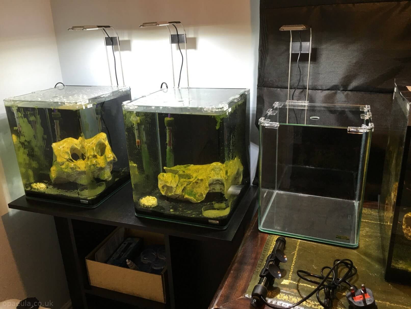 Picking location #02