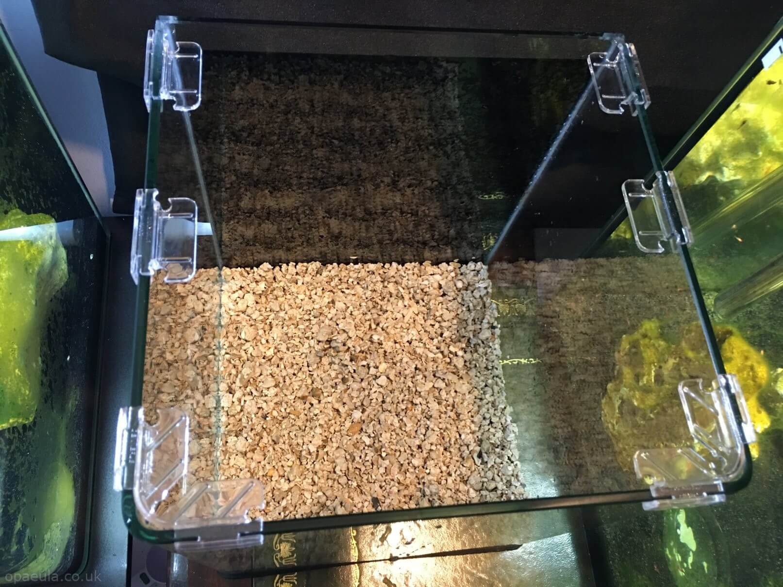 Adding substrate #01