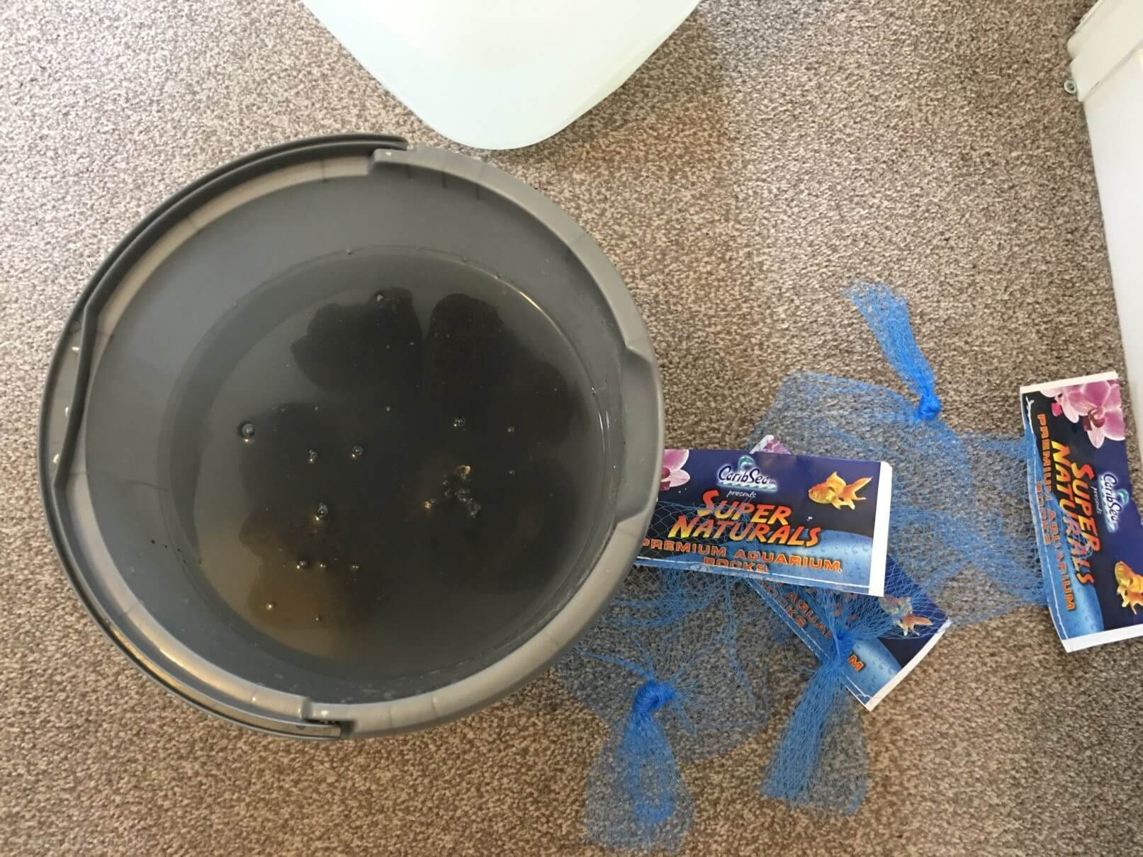 Washing the Lavarocks