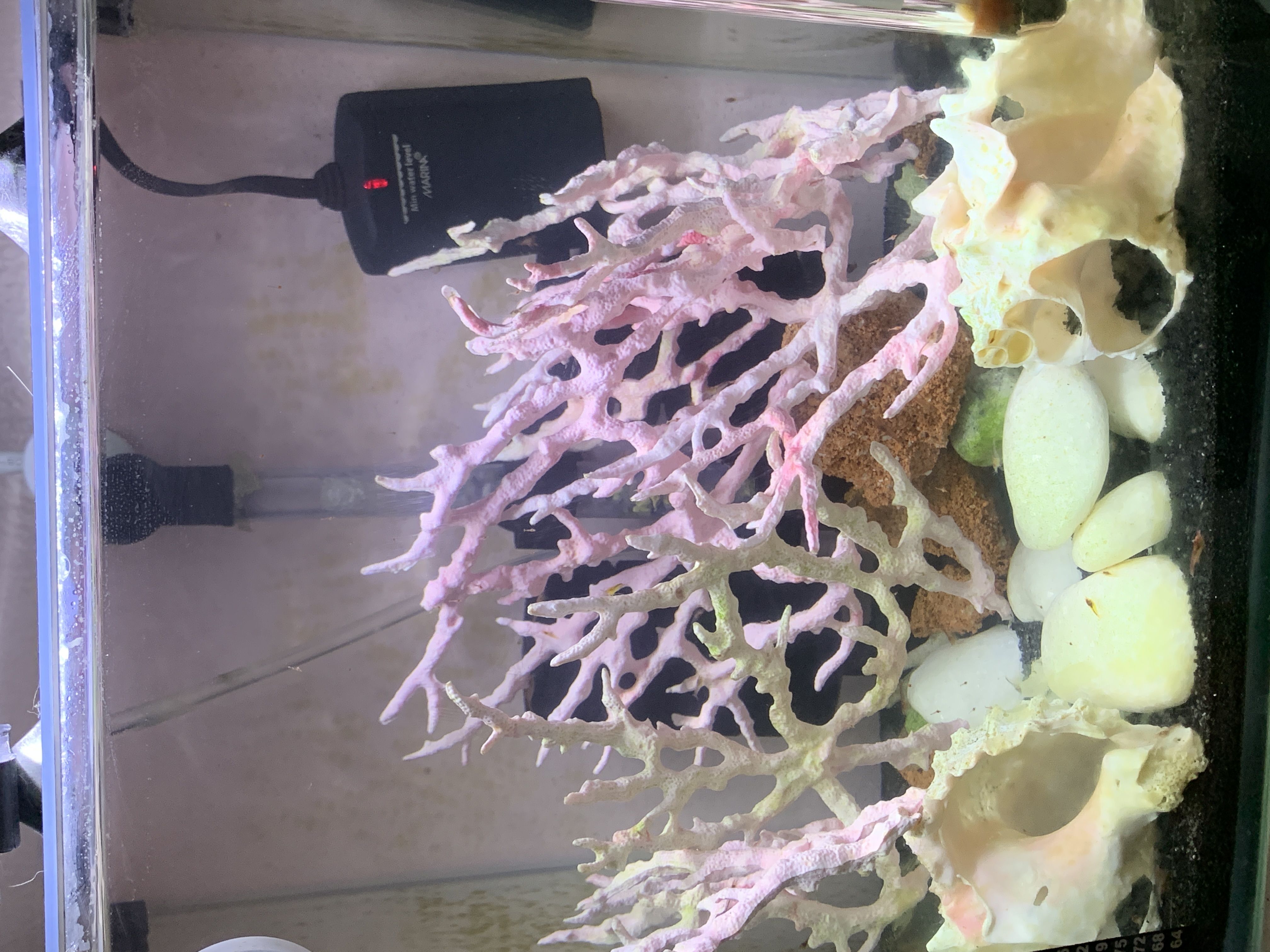 The 12L tank upgrade