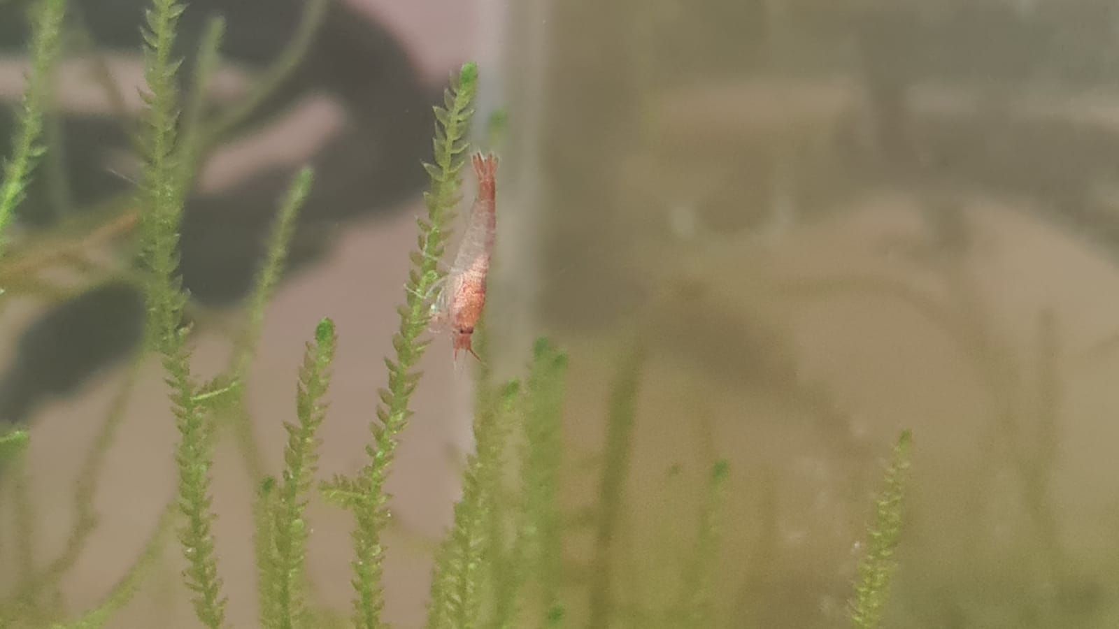 WhatsApp Image 2021-02-08 at 15.31.08.jpeg