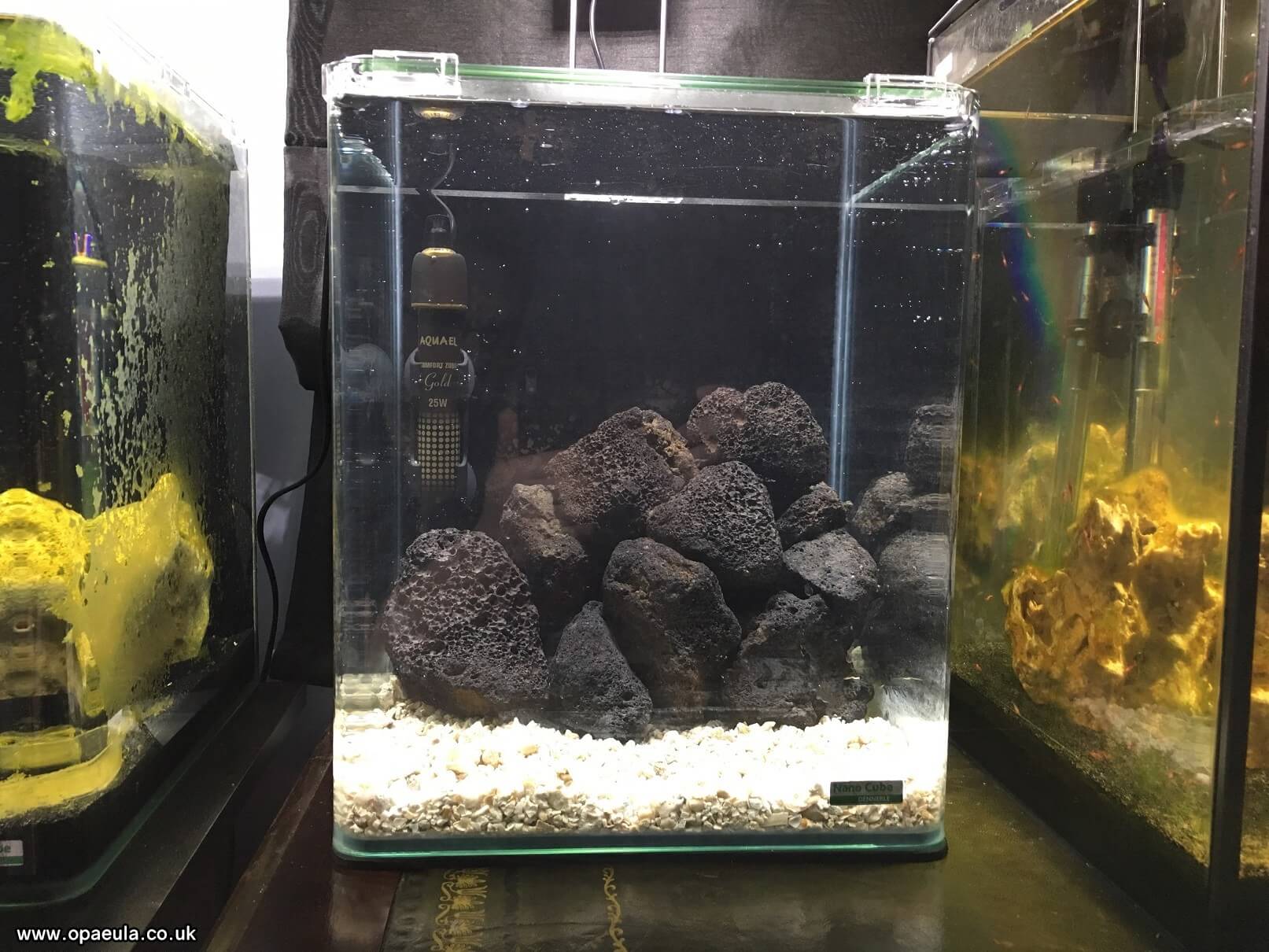 Photo 01-06-2016, 19 57 17.jpg