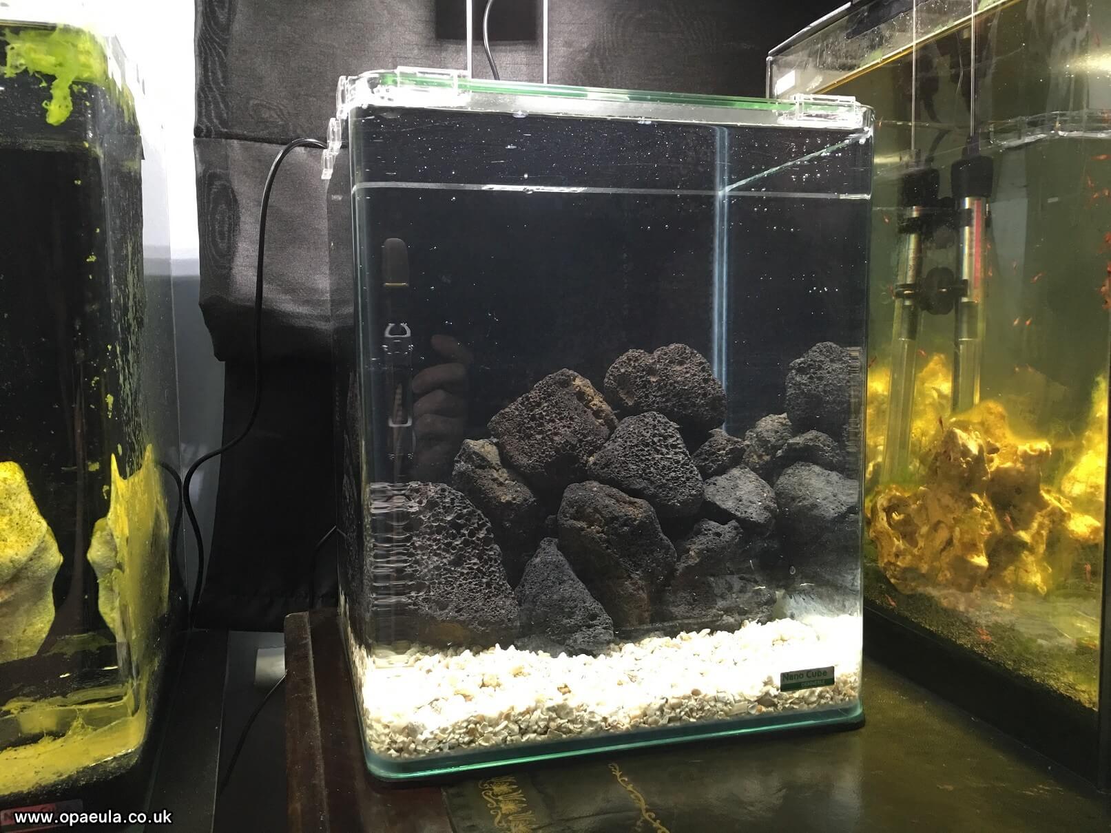 Photo 01-06-2016, 19 57 25.jpg