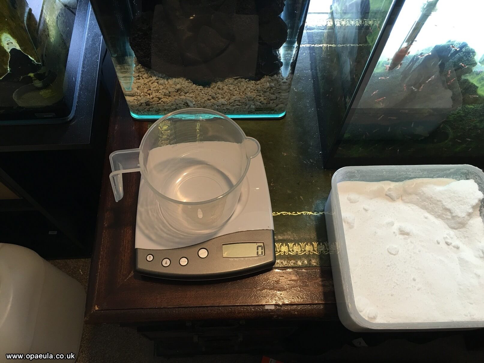 Photo 02-06-2016, 10 23 44.jpg