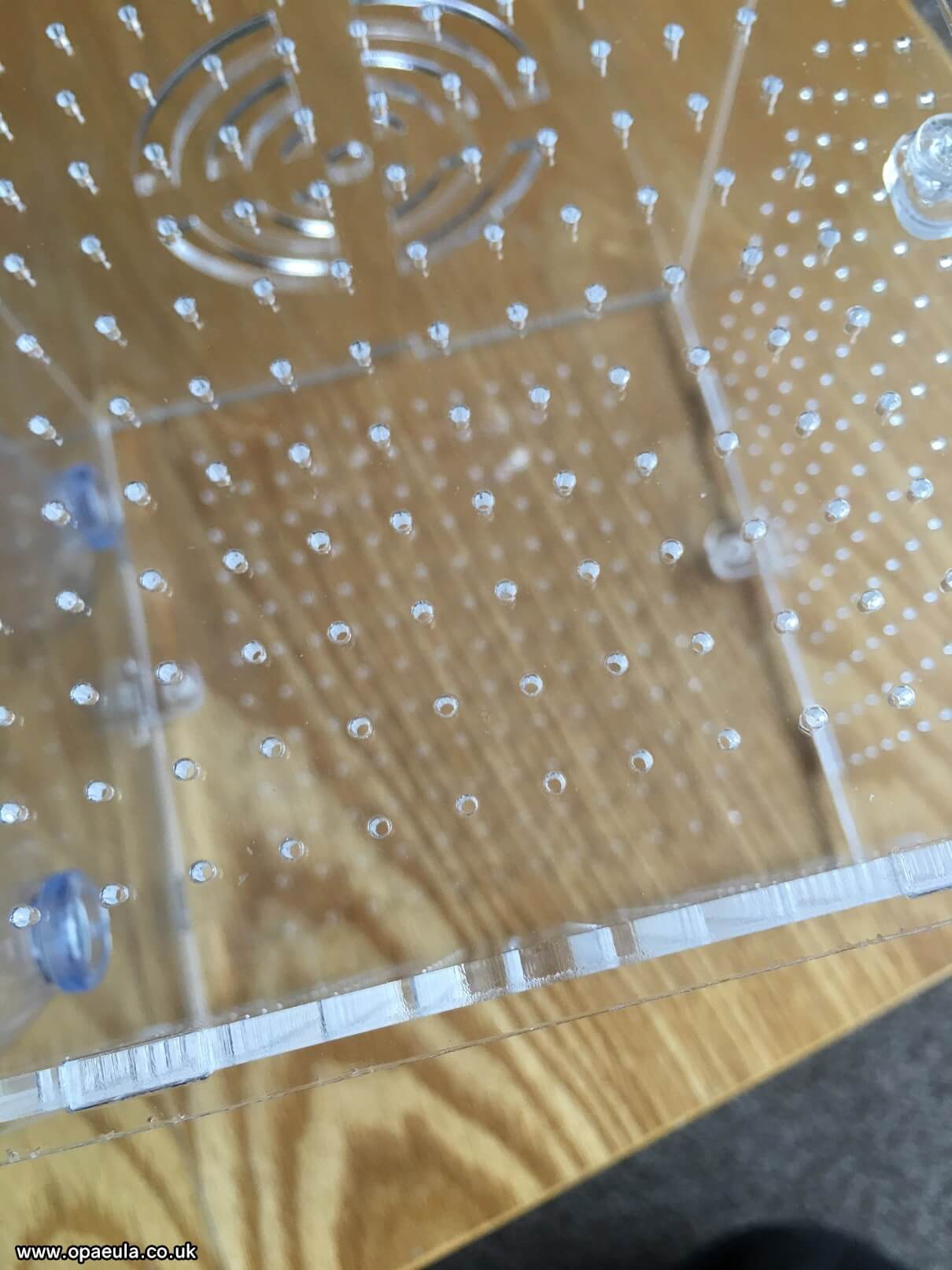 Photo 10-06-2016, 19 02 10.jpg