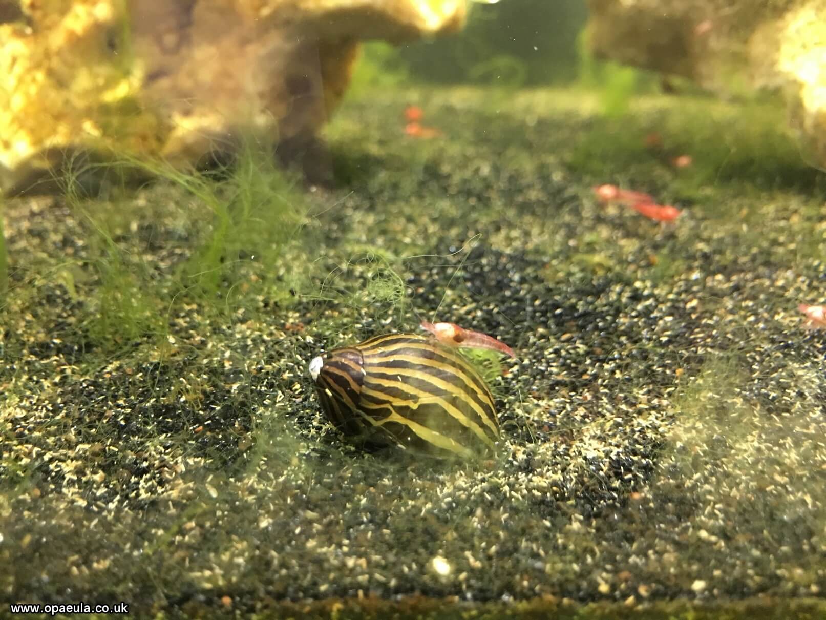 Photo 04-07-2016, 18 31 07.jpg