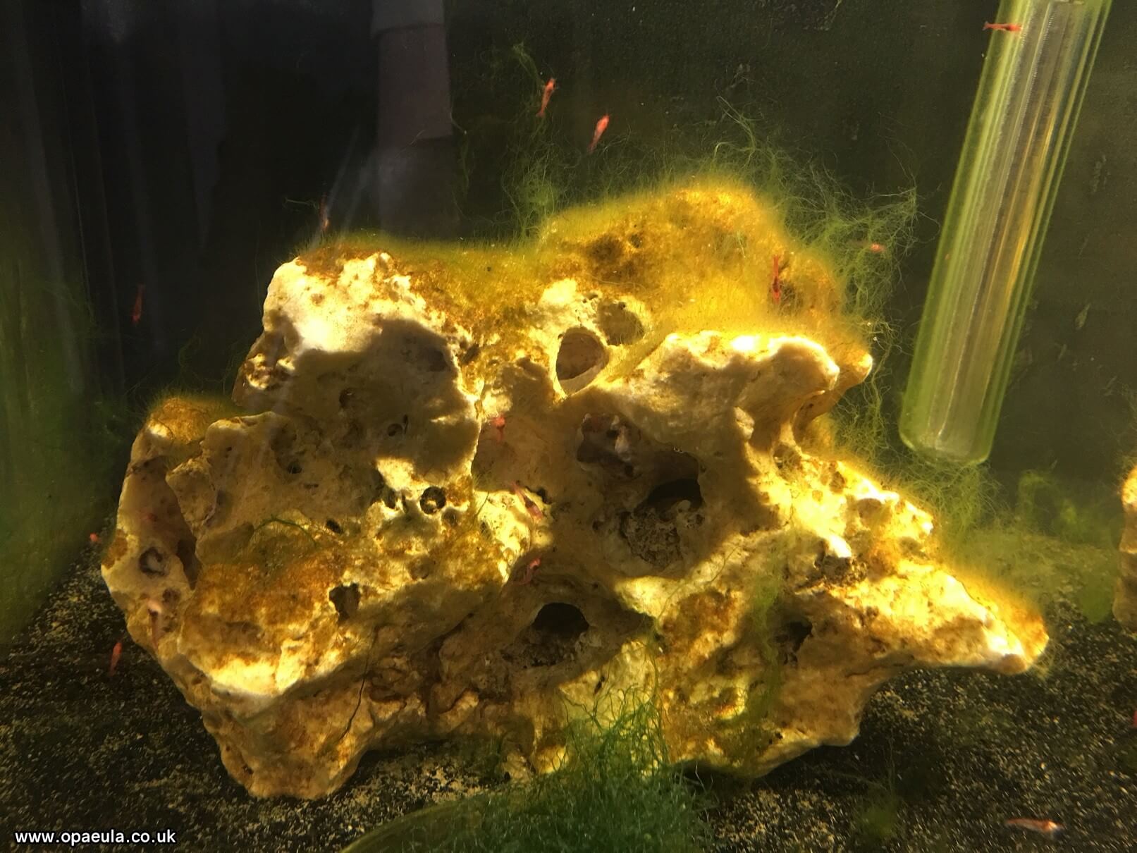 Photo 04-07-2016, 18 28 25.jpg