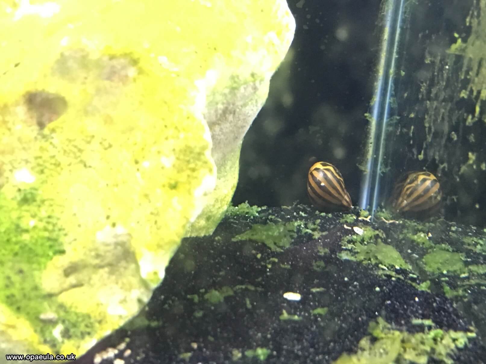 Photo 23-07-2016, 18 15 37.jpg