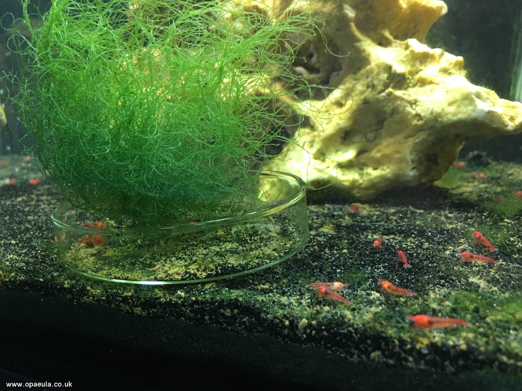 Photo 22-08-2016, 17 55 34.jpg