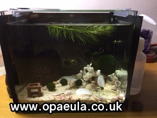 I created this black cover to darken corners and they've gotten really red since yesterday!